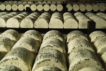 To make true Roquefort cheese, the law requires that it must be produced from local ingredients and ripen for months in a cave in southern France.&nbsp;