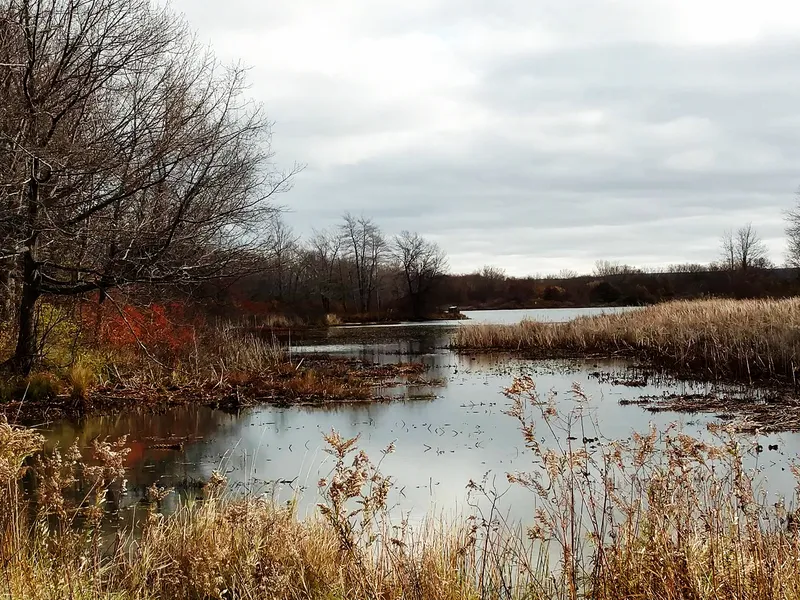 Autumn at Presque Isle, Erie PA | Smithsonian Photo ...