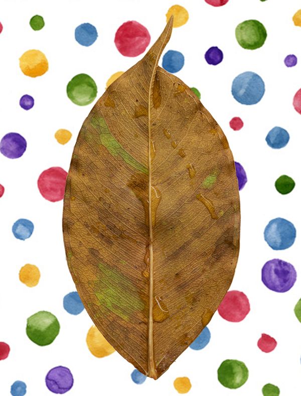 Orange Leaf with Colorful Polka Dots thumbnail