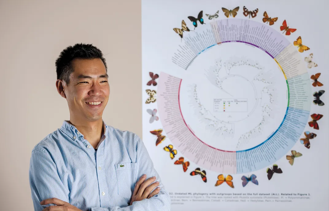 a portrait of a man next to a new evolutionary family tree for butterflies