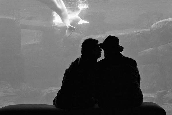 An elderly couple in the Aquarium thumbnail