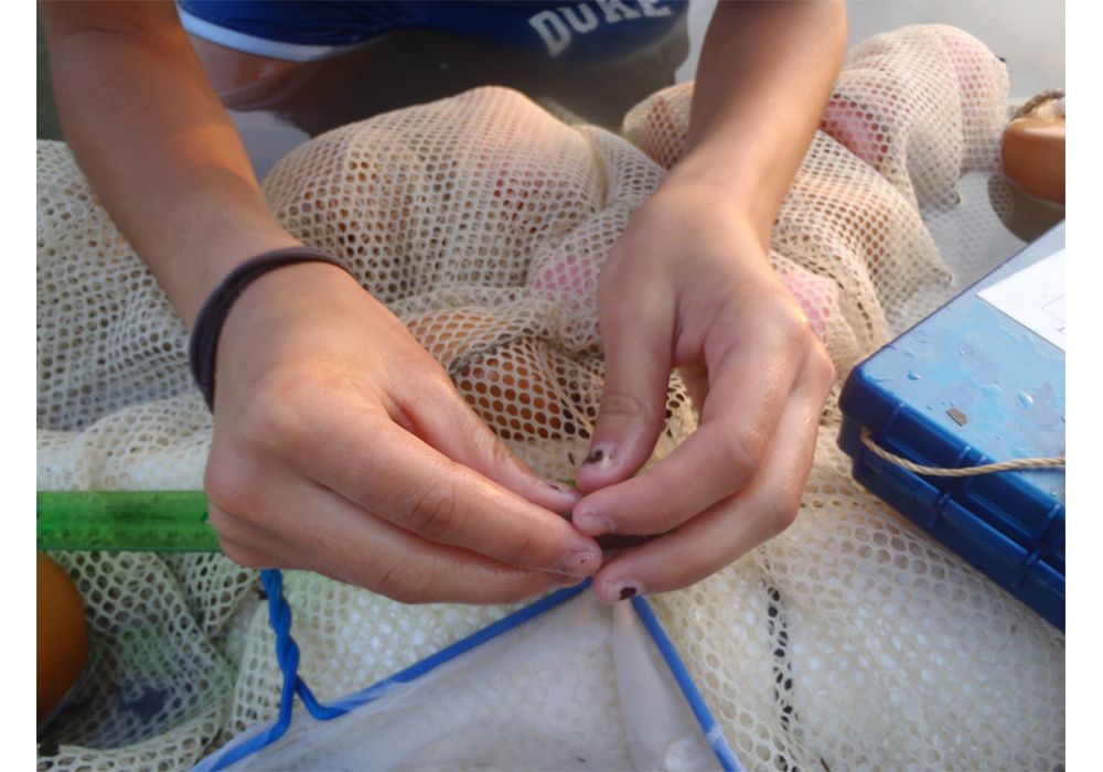 Field nails