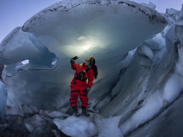 In search of the Ice Dragon thumbnail