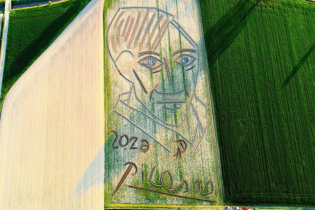 Land art portrait of Picasso