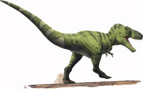 20110520083248hartman-tyrannosaurus.jpg