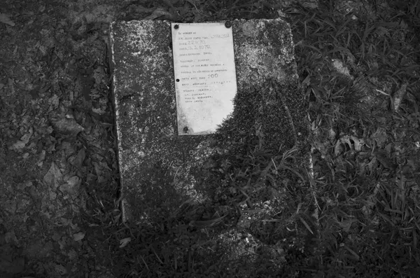 Memorial to Blue Kate, Key Underwood Coon Dog Cemetery thumbnail