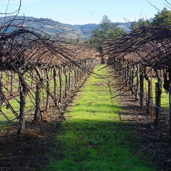 Winery in Napa, California thumbnail
