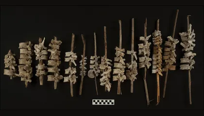 Why Did 16th-Century Andean Villagers String Together the Bones of Their Ancestors?