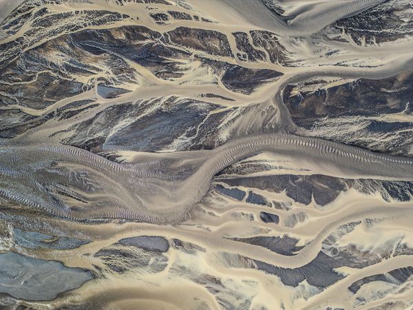 Veins No. 2 thumbnail