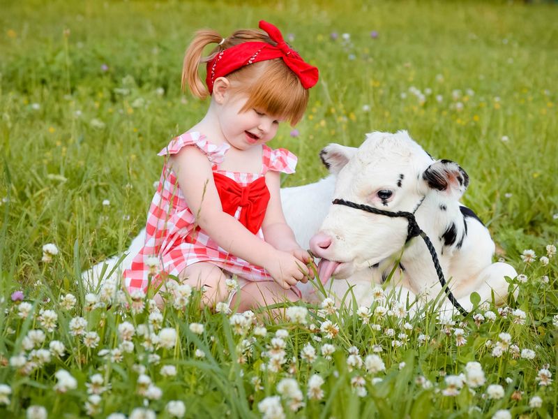 Farm Friends | Smithsonian Photo Contest | Smithsonian Magazine