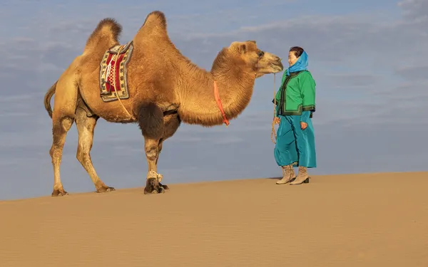 Camel Herder, Gobi Desert thumbnail