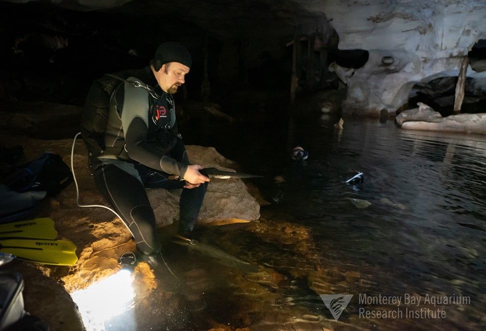 A Diver in a dark, underwater cave.