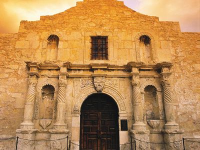 alamo_alamo.jpg