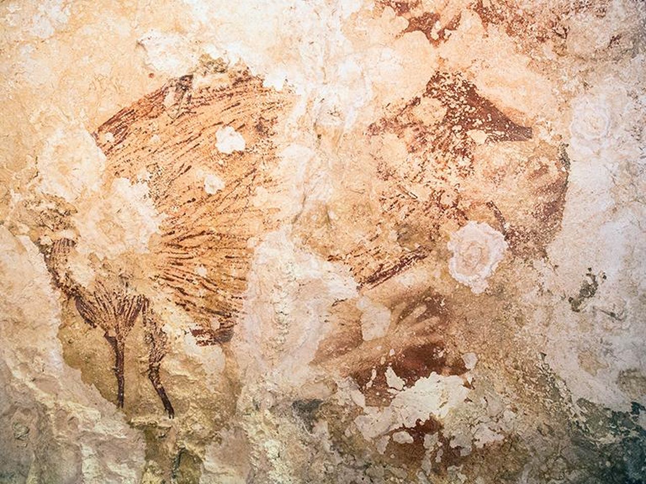 Rock (Art) of Ages: Indonesian Cave Paintings Are 40,000 Years Old