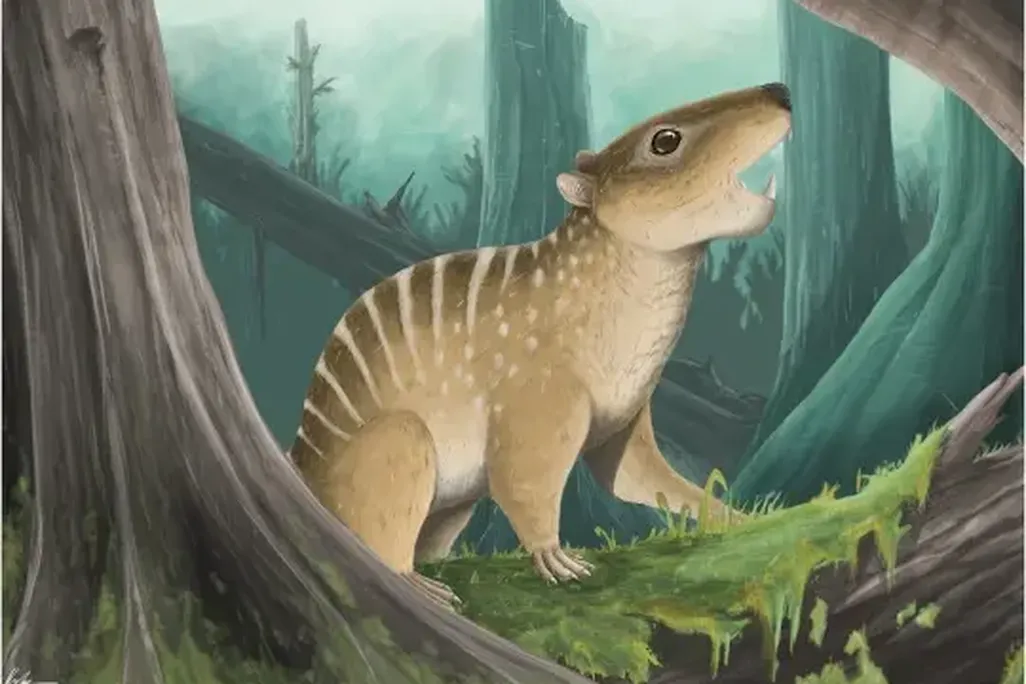 small, striped mammal illustration sitting on a fallen tree amid a forest