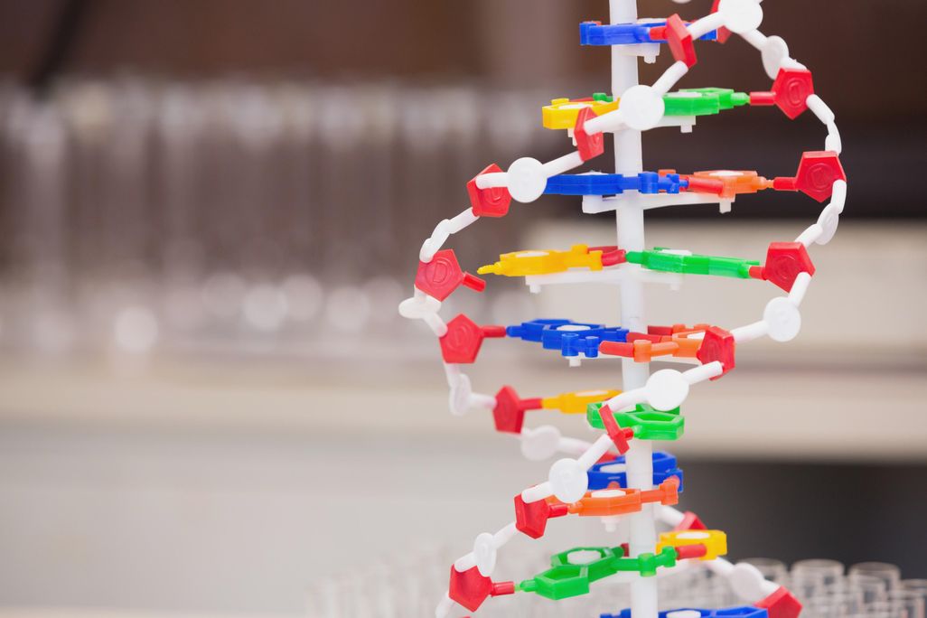 DNA double helix.jpg
