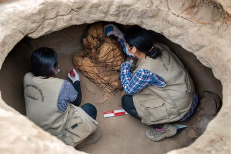 Researchers have yet to confirm the mummy&#39;s gender but say the deceased was likely a man who died between the ages of 25 and 30.