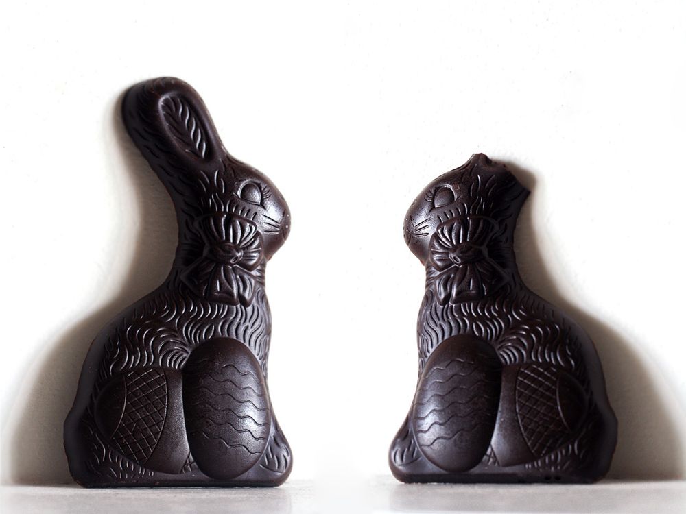 Chocolate Easter Bunny