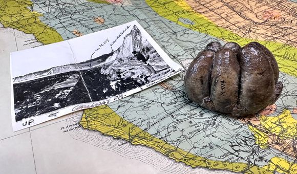 A large, brown tooth sits on top of a colorful map of the California coast