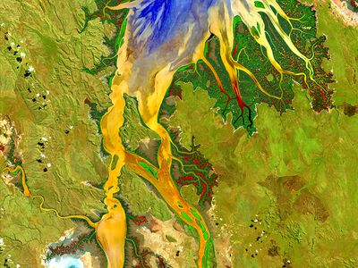 Water spreads like inky-blue fingers into mangrove forests along the shore of Australia's Ord River (top). The sediment load in the water shows up as yellow and orange while mudflats stick out like a light blue bull's-eye on the lower left.
