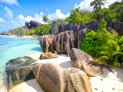 Madagascar and Seychelles: Natural Treasures of the Indian Ocean description