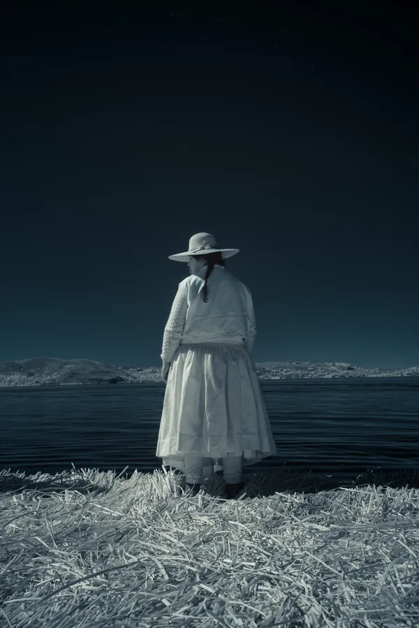 Reed Island Silence thumbnail