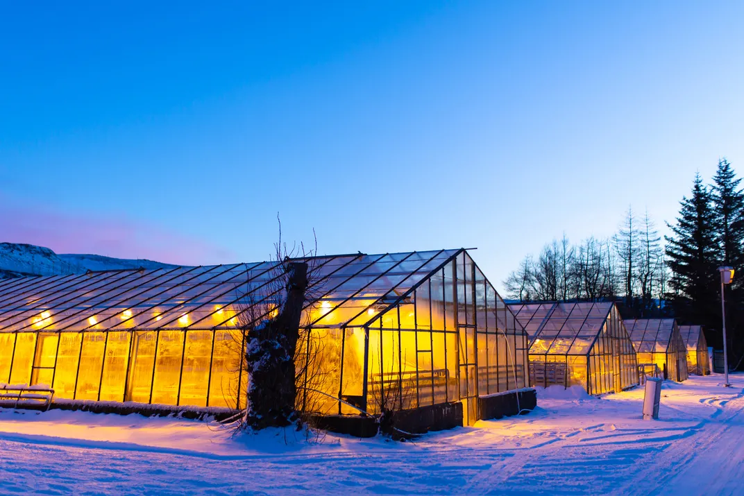 Geothermal greenhouse in Iceland