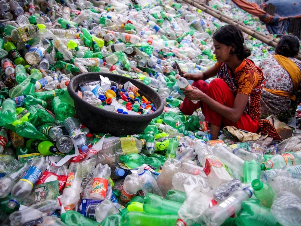 Women Sorts Plastic