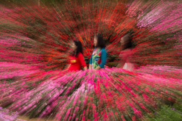 Women in Hanoi Flower Gardens thumbnail