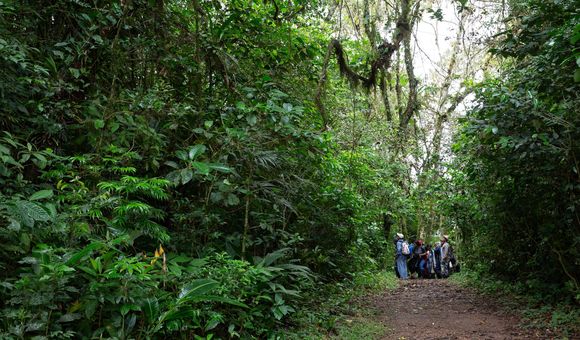 Dendrology course field trip