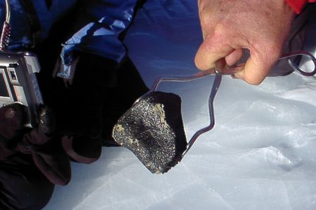 A meteorite in the process of being recovered by volunteers in the Antarctic Search for Meteorites program. The shiny fusion crust on this meteorite suggests it may be an achondrite. (ANSMET)