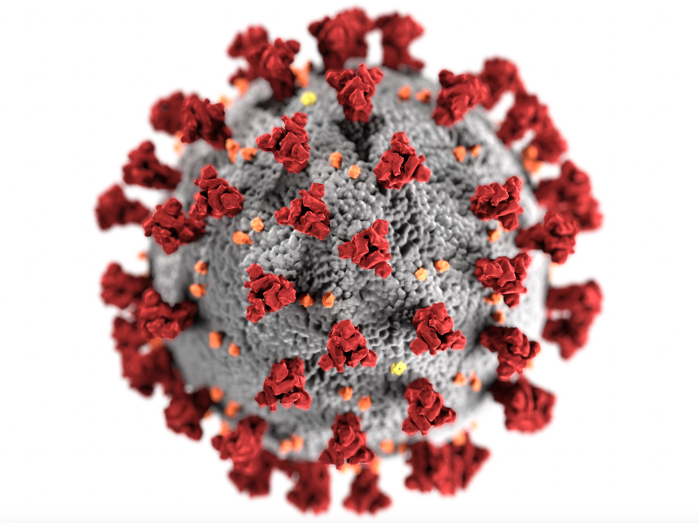 An illustration of the coronavirus with a gray center and red spikes