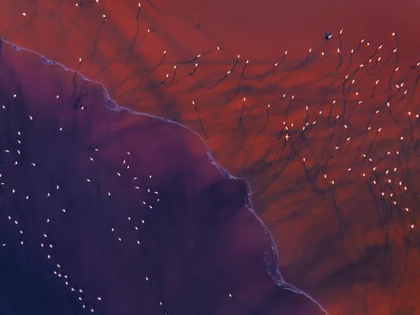 Integration thumbnail