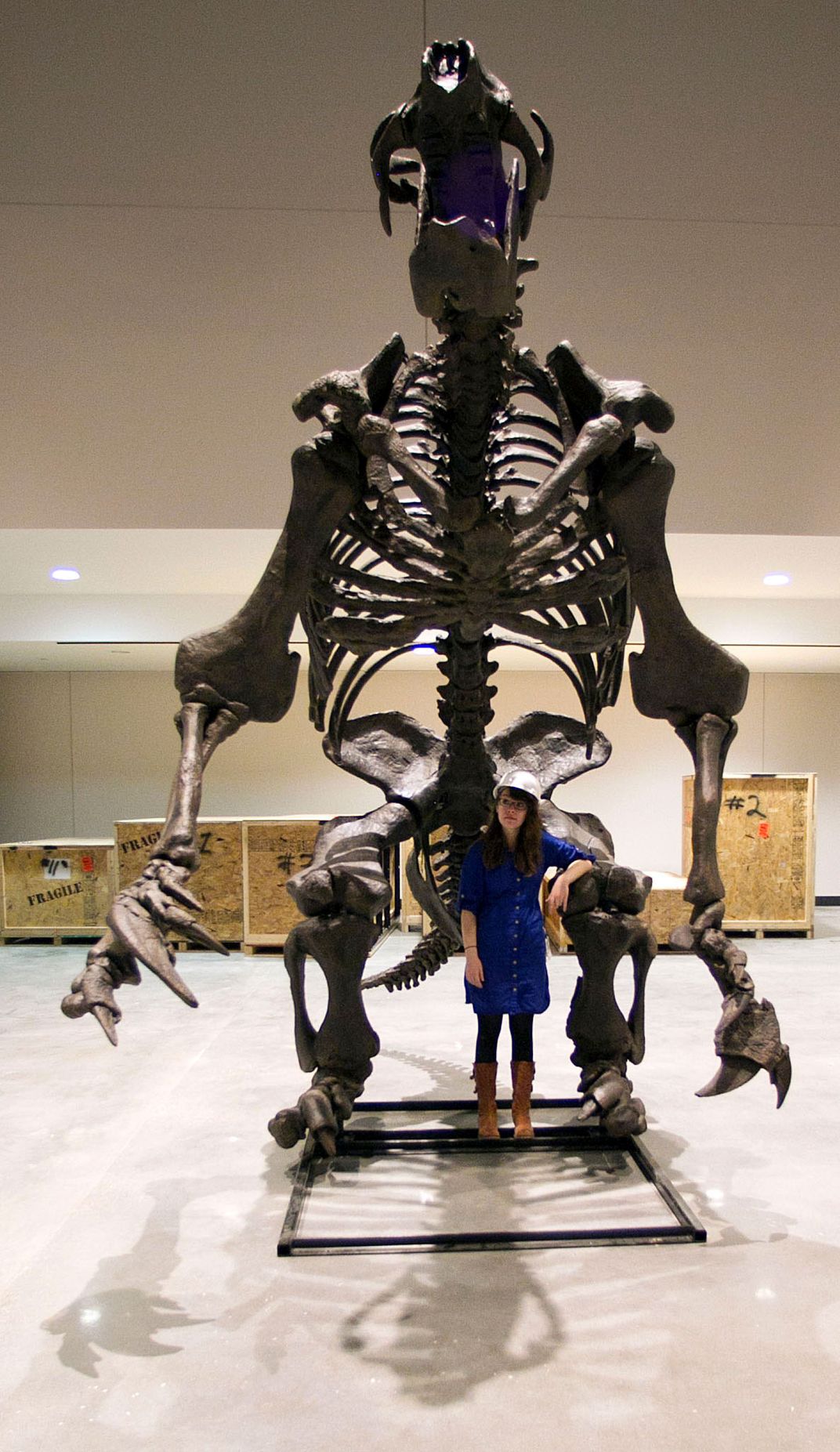 Eremotherium Skeleton