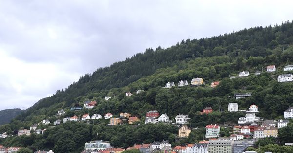 Houses on the hillside thumbnail