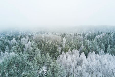 Don't forget to give to the planet this holiday season. 
