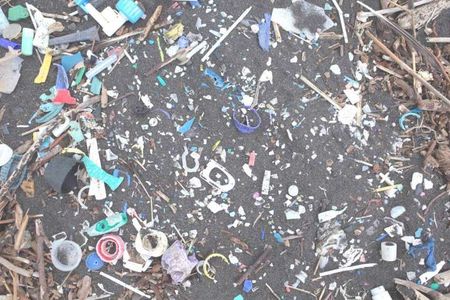 Plastic on a beach in St. Helena.
