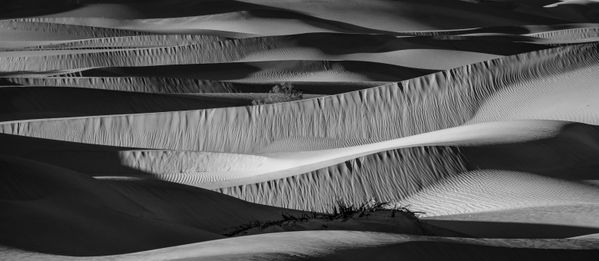 Late afternoon at Mesquite Flat Sand Dunes in Death Valley National Park. thumbnail