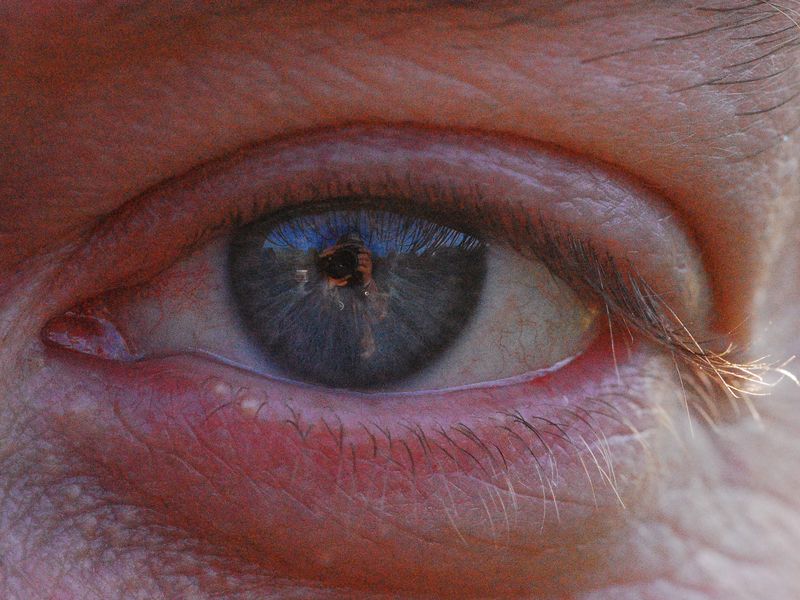 The Apple of My Eye Smithsonian Photo Contest Smithsonian Magazine