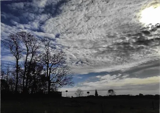 Gettysburg/ copse of trees thumbnail