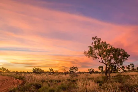Newhaven Wildlife Sanctuary, where Aboriginal Warlpiri ranger Christine Ellis hunts feral cats to help protect native species