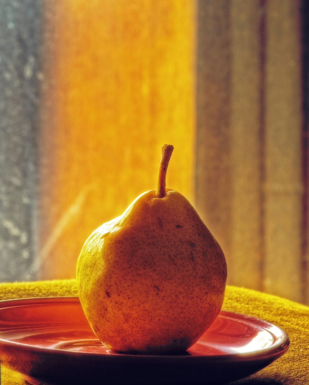 Pear | Smithsonian Photo Contest | Smithsonian Magazine