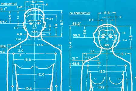 "Joe" and "Josephine" inThe Measure of Man posters, authored by Henry Dreyfuss, designed by Alvin R. Tilley, 1969