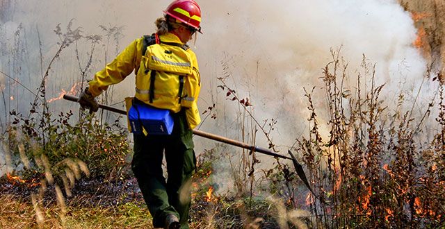 Wildland Firefighters