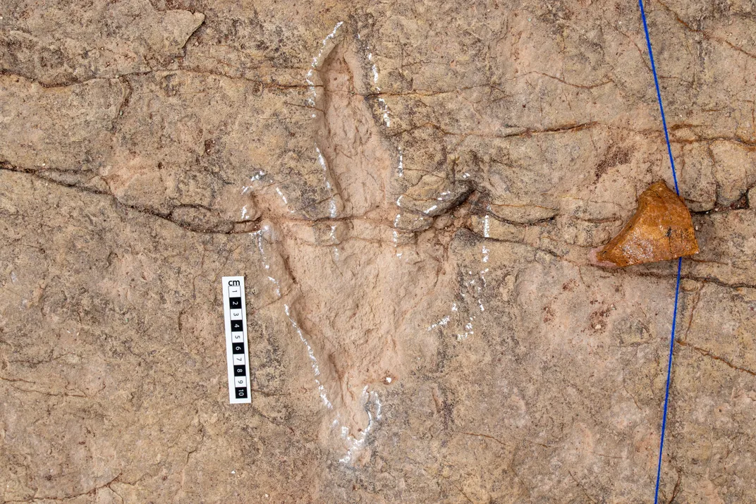 This Site in Bolivia Boasts 16,600 Exposed Dinosaur Footprints—The Most Ever Found in One Location
