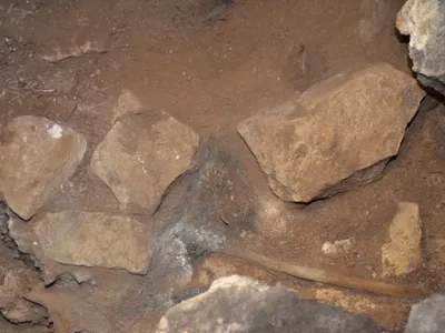 Ritual sticks, between 11,000 and 12,000 years old, were discovered in Cloggs Cave.