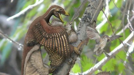 A Microraptor catches a prehistoric bird, based on bird bones found within one Microraptor specimen.