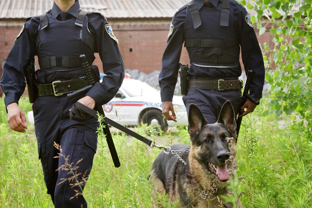 police with dog