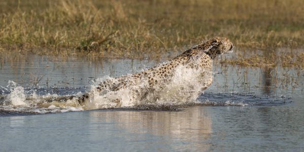 Explosion! thumbnail