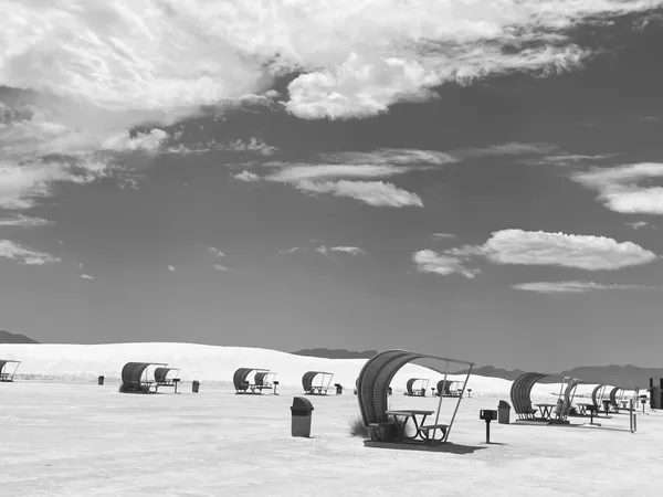 Picnic Grove thumbnail